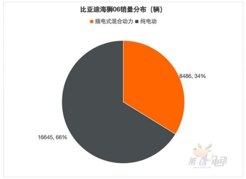上市36天销量近3万辆的海狮06都卖到了哪里？