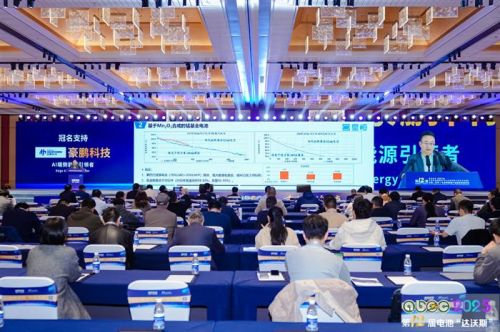 星恒电源王正伟:以锰基创新 破局小动力电池“核芯”材料