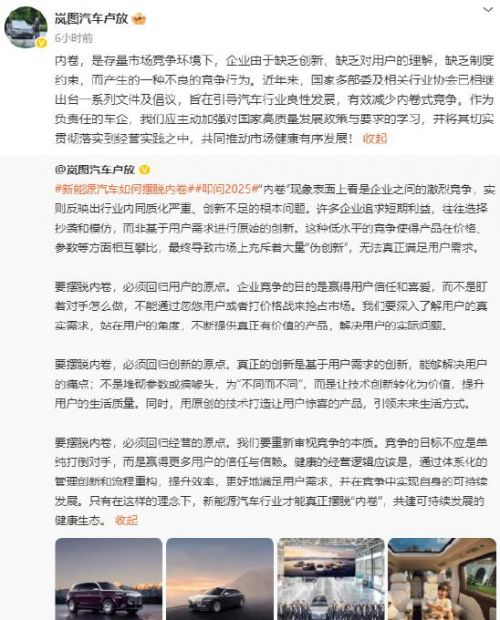 岚图卢放谈新能源汽车内卷：企业缺乏创新和约束产生的不良竞争行为