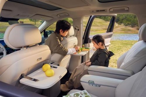 23.99万起切入全尺寸赛道,比亚迪大唐EV能否打开高端市场?